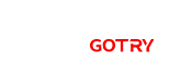 廣東麗銳電子無限公司